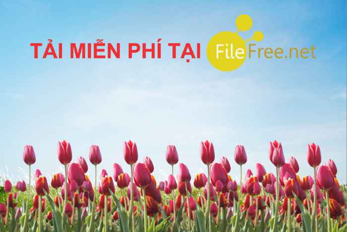 Background hoa tulip nền trời file corel free