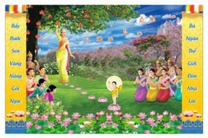 VƯỜN LÂM TỲ NI ẢNH IN ẤN