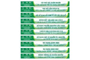 BĂNG RÔN NGÀY MÔI TRƯỜNG THẾ GIỚI COREL FREE