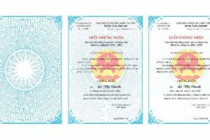 GIẤY CHỨNG NHẬN HĐND VECTOR COREL 12