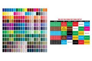 TẢI BẢNG MÀU CMYK VECTOR PHONG THỦY